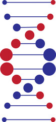 Colorful Red and Blue DNA Helix Icon for Science and Genetics Design