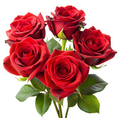 Obraz premium Stunning Bouquet of Red Roses isolated on transparent background