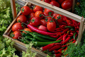 Variety of fresh organics homegrown heirloom chili pepper, tomatoes in vegetable farmer market for food ingredient and nutrition usage during harvest season