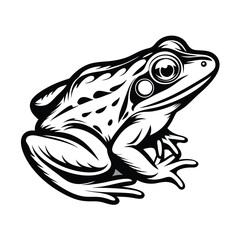 Monochrome Spotted Frog Illustration, Detailed Black and White Animal Design, Art
