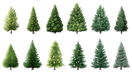 Collection of trees with different shapes and sizes on transparent or white background,png