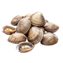 Fresh Clams Piled Together on a White Background, Perfect for Seafood Dishes and Culinary Creations on transparent background