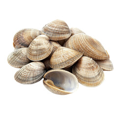 Fresh Clams Piled Together, Perfect for Seafood Dishes and Culinary Creations on transparent background