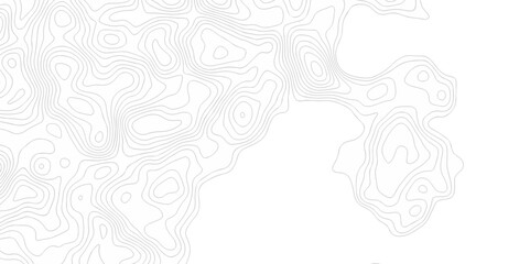 Abstract geometric topography curve grid map and topo contour map on white background. Seamless pattern with lines Topographic map design.	
