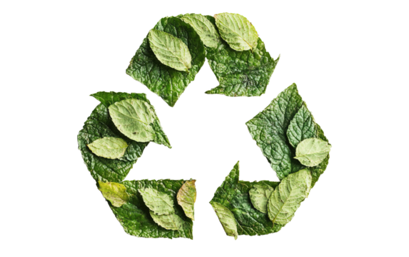Green leafy plant with a leafy green circle with a leafy green arrow pointing  on transparent or white background,png