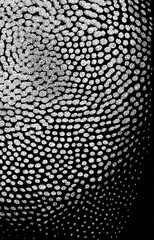 Abstract Dot Pattern Design