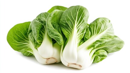 Fresh Bok Choy on White Background