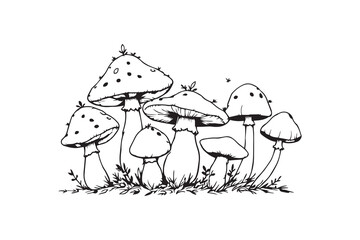 Mushroom with leaves line art