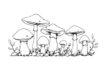 Mushroom with leaves line art