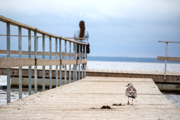 
a wooden pier stretching into calm water, with a single woman at the end and a seagull on it, under a cloudy sky.