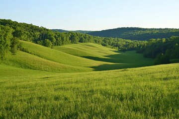 Obraz premium Rolling green hills, lush grass meadow, vibrant verdant landscape,