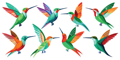 Fototapeta premium Watercolor Hummingbird on White Background