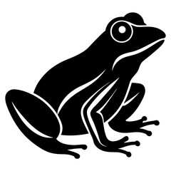frog on a white background
