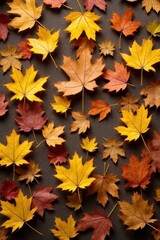 Obraz premium Autumn Leaf Collection