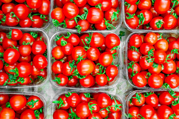 cherry tomatoes in the trays, top view, close-up
