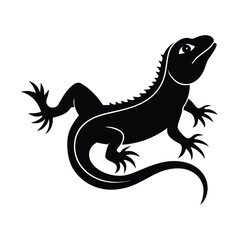 Fototapeta premium Adobe Illustrator Artwork