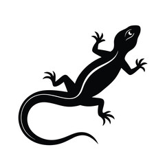 Fototapeta premium Adobe Illustrator Artwork