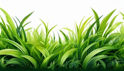 Obraz premium bright green realistic seamless grass border isolated on white background