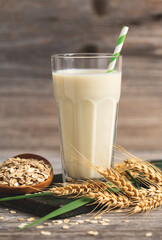 Oat milk in a glass on the wooden table.  Non dairy, plant based alternative milk, vegetarian, healthy food