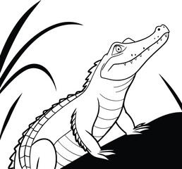vector illustration of a crocodile