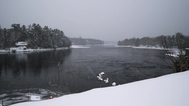 Beautiful landscape winter scene of a heavy snowfall midwinter on water at the Bala Falls in Muskoka