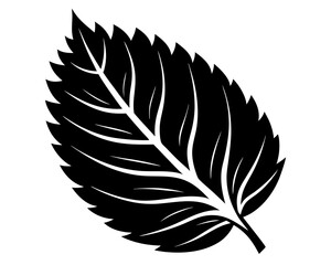 Obraz premium Leaf Vector Illustration | Natural Leaf Silhouette SVG Design for Cricut