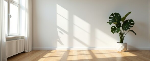 Bright, minimalist room interior with sunlight, a monstera plant and empty space on the wall.