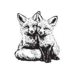 Obraz premium Hand drawn illustration a pair of foxes - fox head sketch