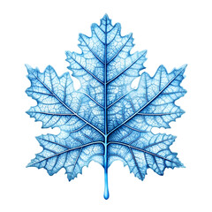 Frozen Maple Leaf Winter Nature Image isolated on transparent background