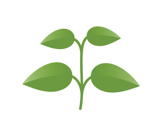 Green sprout with four leaves illustration. Spring, planting and nature design element. Isolated vector image