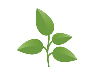 Green plant sprout with four leaves illustration. Spring, planting and nature design element. Isolated vector image