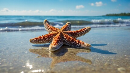 starfish on the beach, Gnerative Ai