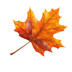 Obraz premium Isolated floating cartoon 3d autumn leaf with transparent background