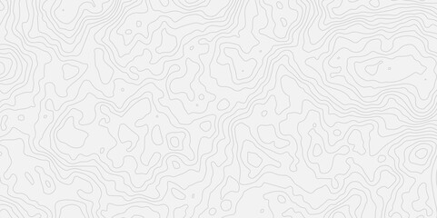 Fototapeta premium Abstract contours form digital landscape, mimicking terrain of technological advancements and innovation.Concept of technology, science. Wallpaper. Pattern.Vector illustration. 