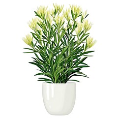 Lush green plant with creamy white blossoms in a sleek white pot