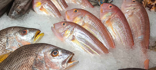 Fresh fish in the fresh market on ice. fish caught from fishing.