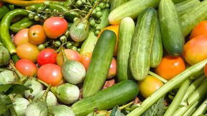 Fresh vegetables for cooking. Vegetables contain dietary fiber that helps cleanse the intestines.