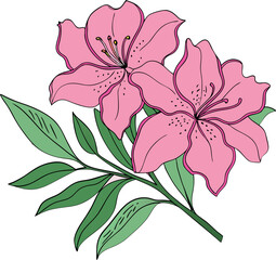 Stunning Vibrant Pink Azalea Flowers Vector Illustration with Lush Green Leaves for Elegant Botanical, Floral & Garden Design – Premium Digital Art