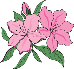 Fototapeta premium Stunning Vibrant Pink Azalea Flowers Vector Illustration with Lush Green Leaves for Elegant Botanical, Floral & Garden Design – Premium Digital Art