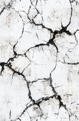 Cracked White Wall Texture