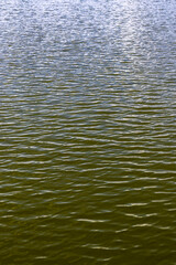 calm water background in a lake in Brazil Water surface background. Small ripple on the surface of the water Abstract waves on water surface. Shallow depth of field.