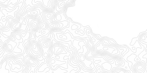 Abstract geometric topography curve grid map and topo contour map on white background. Seamless pattern with lines Topographic map design.	
