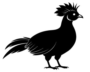 Victoria Crowned Pigeon Vector Illustration | Elegant Pigeon Silhouette SVG Design