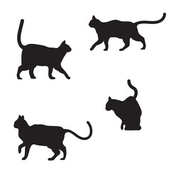 cat silhouette logo icon vector illustration template design