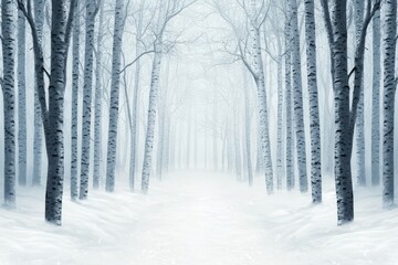 Fototapeta premium Tranquil Winter Forest with Bare Trees and Soft Snow Cover