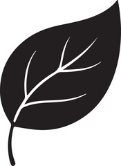 Simple Black Leaf Icon Vector Illustration Nature Graphic Element Isolated Design