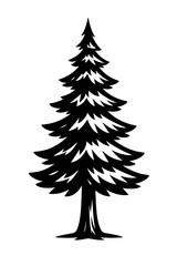 Obraz premium Tall Evergreen Tree Illustration Pine or Fir - Black and White for Nature, Forests, or Graphic Themes