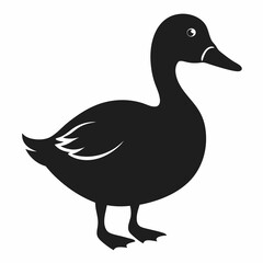 duck isolated silhouette on white background