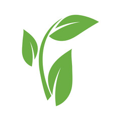leaf ecology  logo and vector template