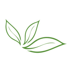 leaf ecology  logo and vector template